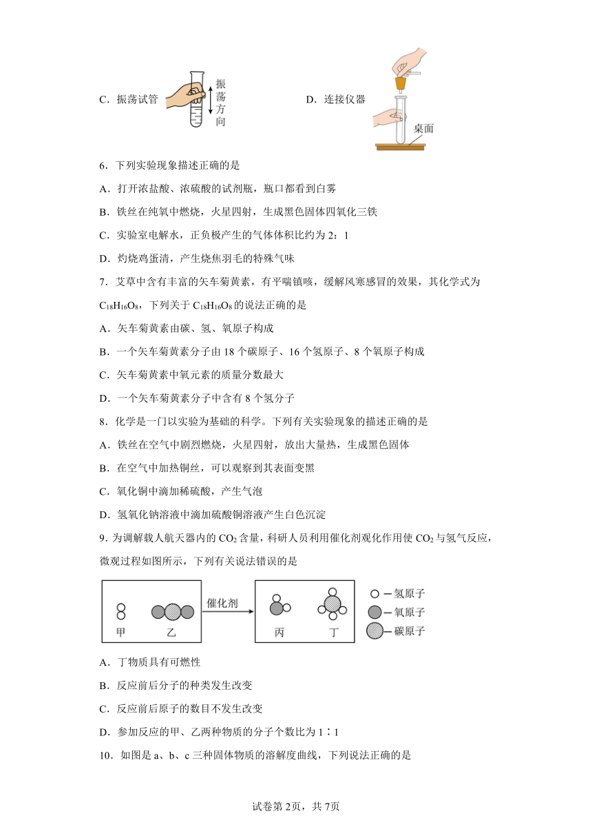 2024年江苏省盐城市射阳外国语学校中考一模化学试题（含解析）