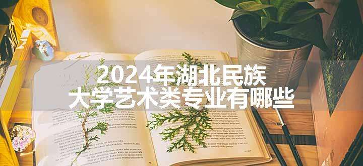 2024年湖北民族大学艺术类专业有哪些