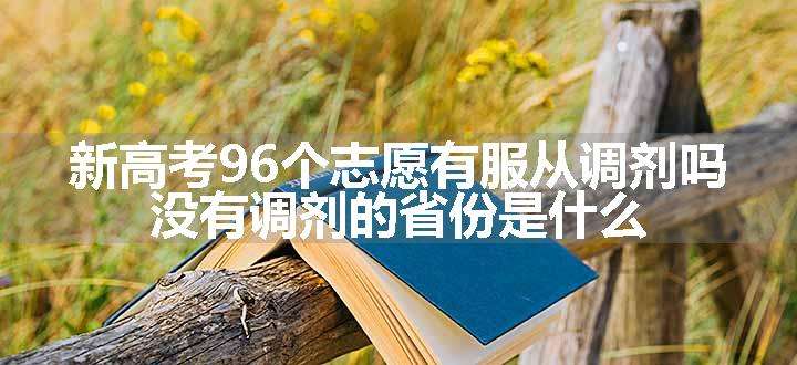 新高考96个志愿有服从调剂吗 没有调剂的省份是什么