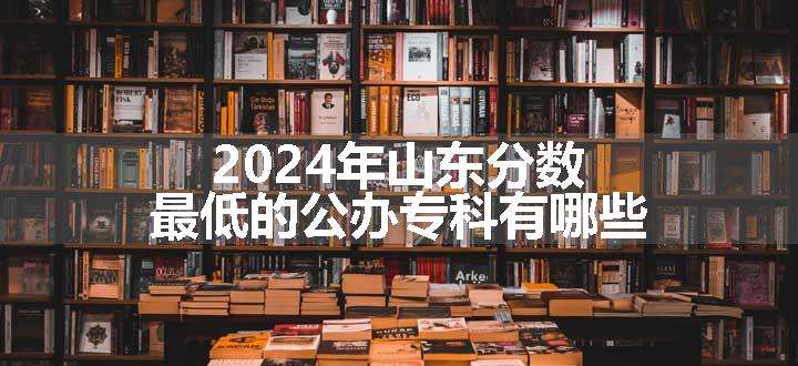 2024年山东分数最低的公办专科有哪些