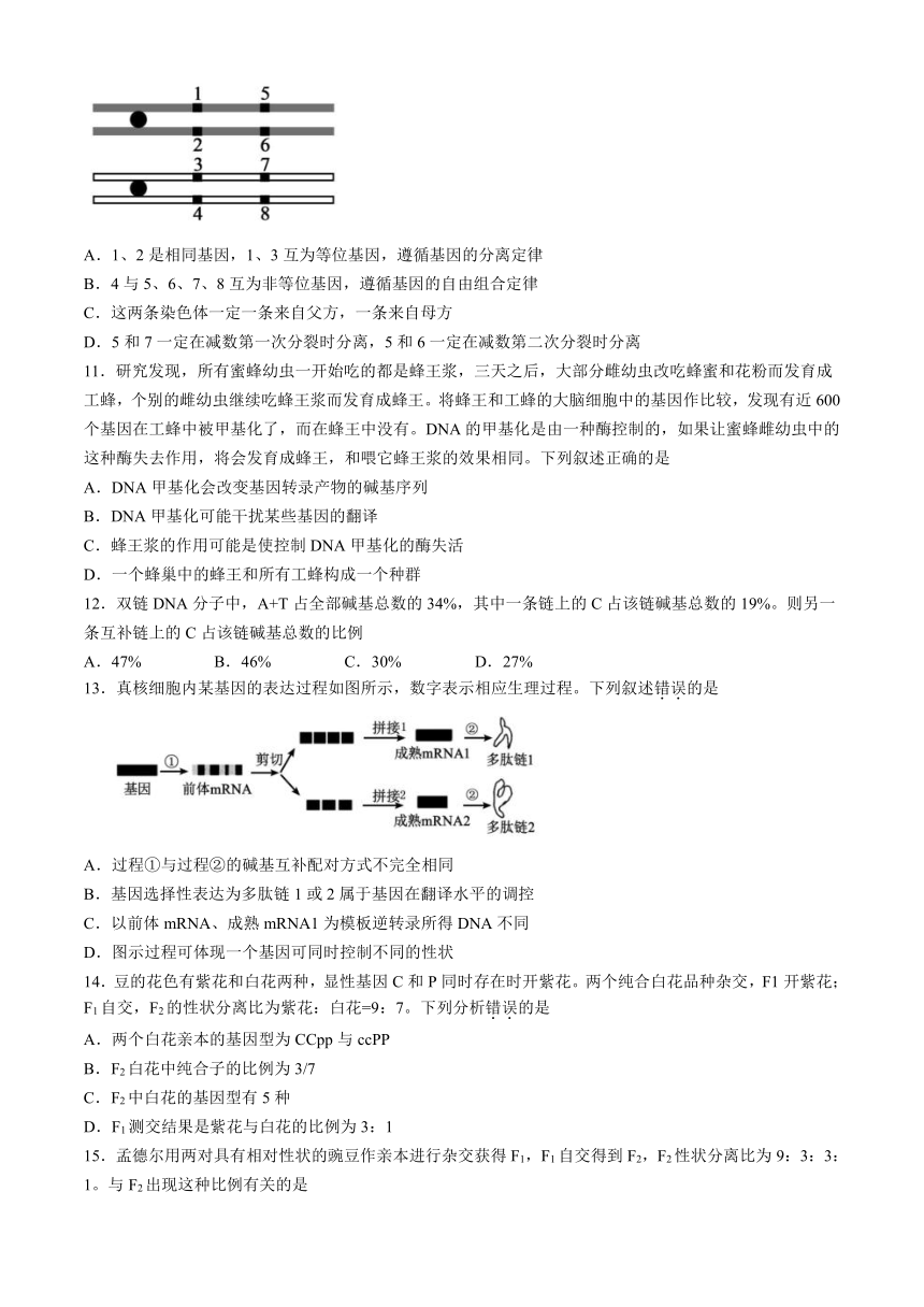 广东省广州市第六中学2023-2024学年高一下学期期中考试生物学试题（含答案）