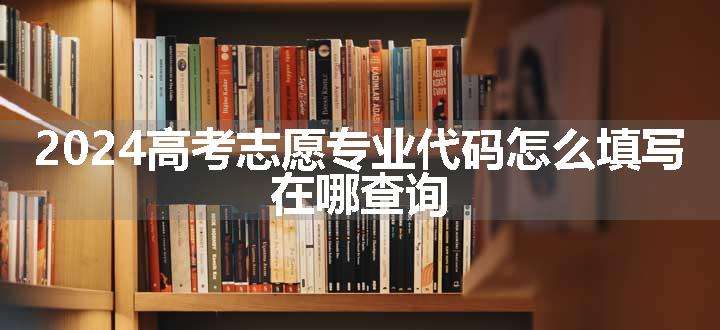 2024高考志愿专业代码怎么填写 在哪查询