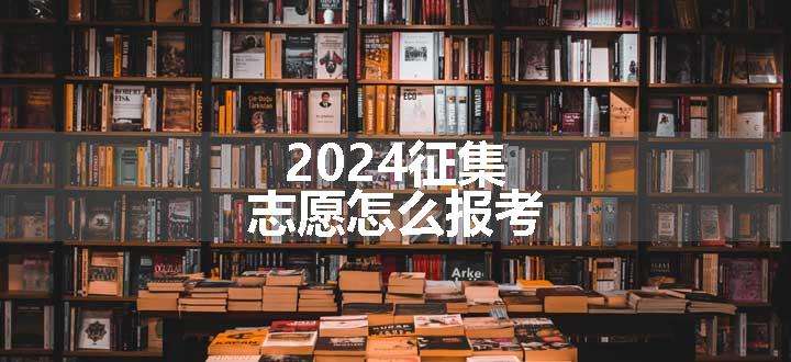 2024征集志愿怎么报考