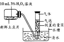 下图中的新鲜土豆片与H2O2接触后，产生的现象及推测错误的是A．若有气体大量产生，可推测新鲜土豆片中含有...