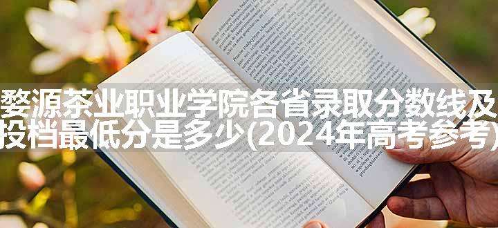 江西婺源茶业职业学院各省录取分数线及位次 投档最低分是多少(2024年高考参考)