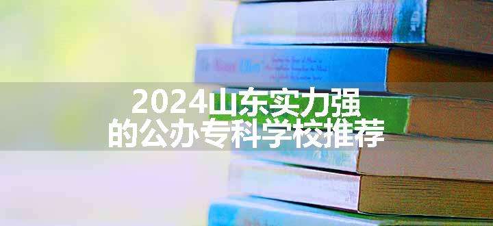 2024山东实力强的公办专科学校推荐