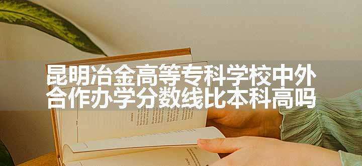 昆明冶金高等专科学校中外合作办学分数线比本科高吗