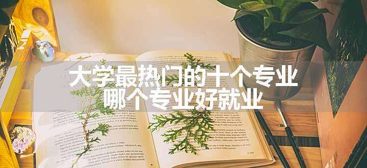 大学最热门的十个专业 哪个专业好就业