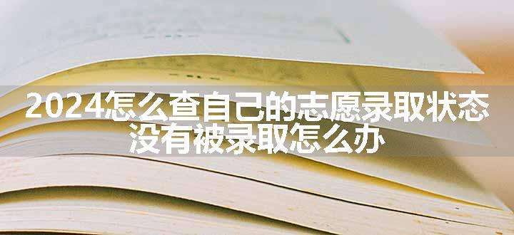 2024怎么查自己的志愿录取状态 没有被录取怎么办