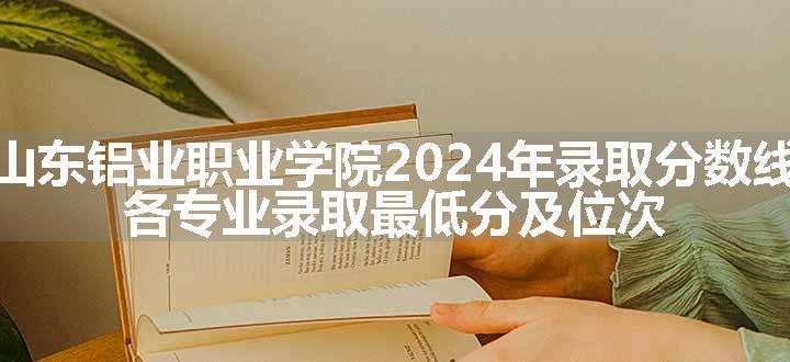 山东铝业职业学院2024年录取分数线 各专业录取最低分及位次