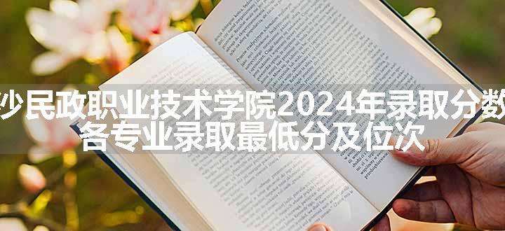 长沙民政职业技术学院2024年录取分数线 各专业录取最低分及位次