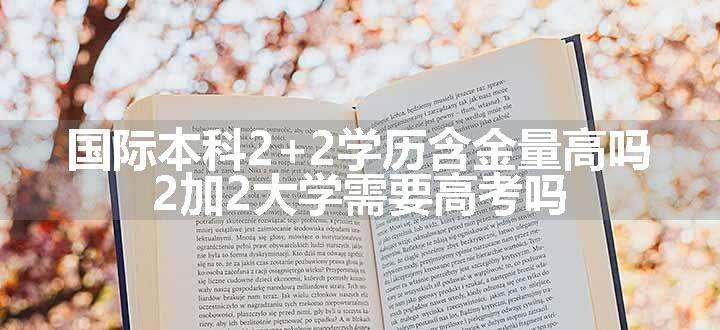 国际本科2+2学历含金量高吗 2加2大学需要高考吗