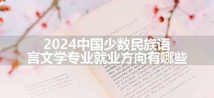 2024中国少数民族语言文学专业就业方向有哪些