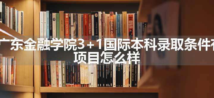 2024广东金融学院3+1国际本科录取条件有哪些 项目怎么样