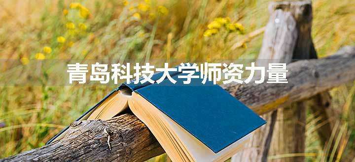 青岛科技大学师资力量