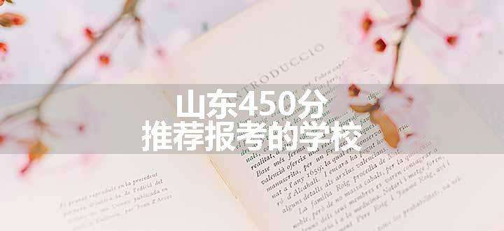 山东450分推荐报考的学校