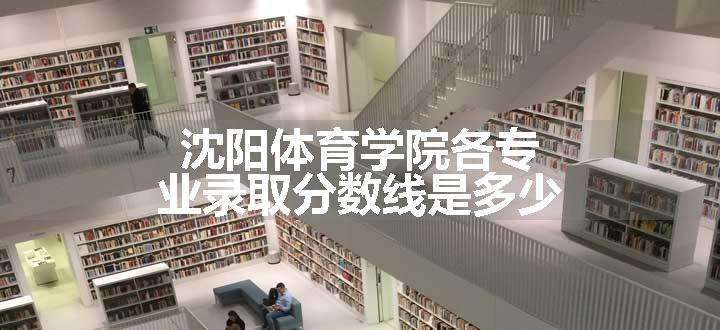 沈阳体育学院各专业录取分数线是多少