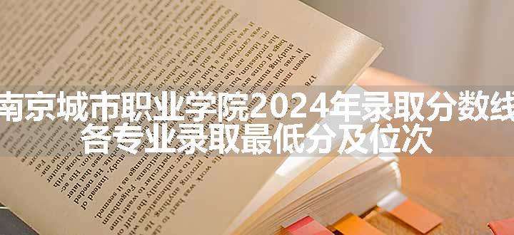 南京城市职业学院2024年录取分数线 各专业录取最低分及位次