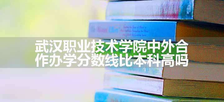 武汉职业技术学院中外合作办学分数线比本科高吗