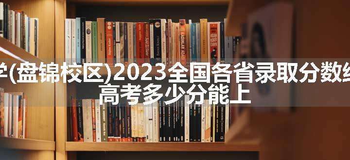 大连理工大学(盘锦校区)2023全国各省录取分数线及最低位次 高考多少分能上