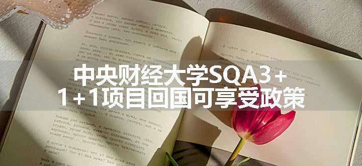 中央财经大学SQA3+1+1项目回国可享受政策