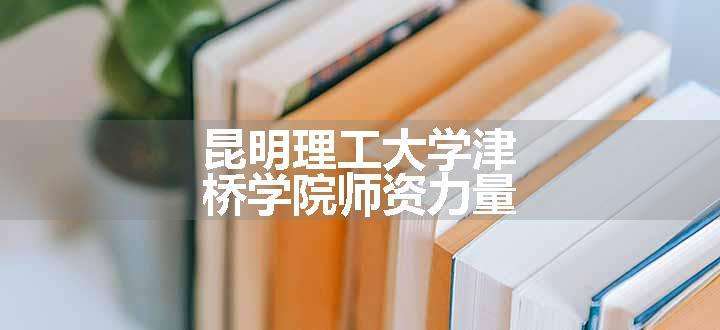 昆明理工大学津桥学院师资力量