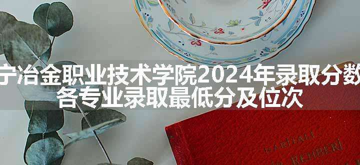 辽宁冶金职业技术学院2024年录取分数线 各专业录取最低分及位次