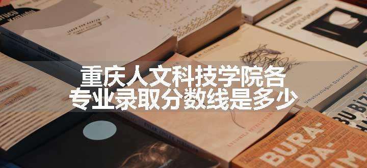 重庆人文科技学院各专业录取分数线是多少