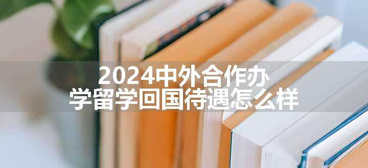 2024中外合作办学留学回国待遇怎么样