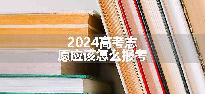 2024高考志愿应该怎么报考