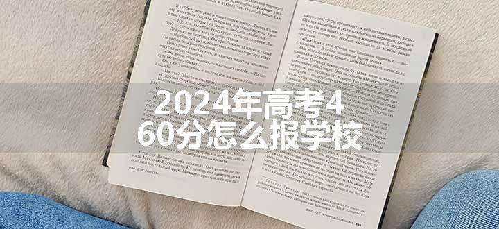 2024年高考460分怎么报学校