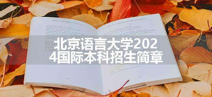 北京语言大学2024国际本科招生简章