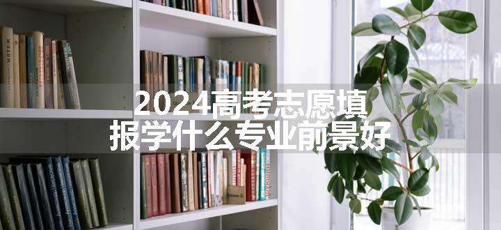 2024高考志愿填报学什么专业前景好