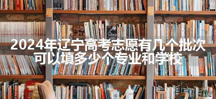 2024年辽宁高考志愿有几个批次 可以填多少个专业和学校