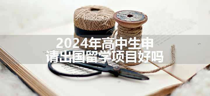 2024年高中生申请出国留学项目好吗