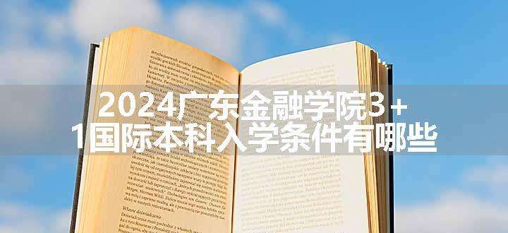 2024广东金融学院3+1国际本科入学条件有哪些