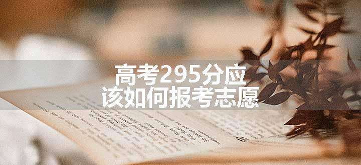 高考295分应该如何报考志愿