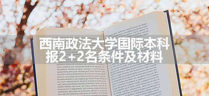 西南政法大学国际本科报2+2名条件及材料