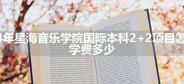 2024年星海音乐学院国际本科2+2项目怎么样 学费多少