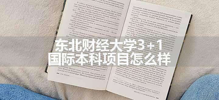 东北财经大学3+1国际本科项目怎么样