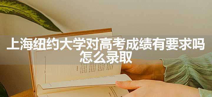 上海纽约大学对高考成绩有要求吗