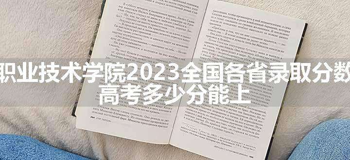 天津电子信息职业技术学院2023全国各省录取分数线及最低位次 高考多少分能上