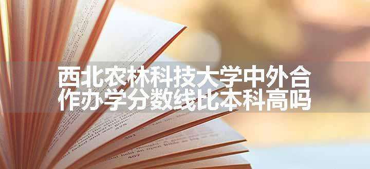 西北农林科技大学中外合作办学分数线比本科高吗