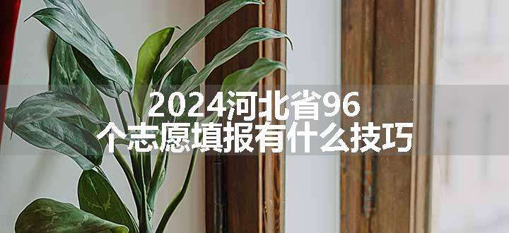 2024河北省96个志愿填报有什么技巧