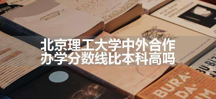 北京理工大学中外合作办学分数线比本科高吗