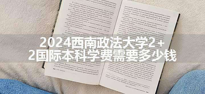 2024西南政法大学2+2国际本科学费需要多少钱