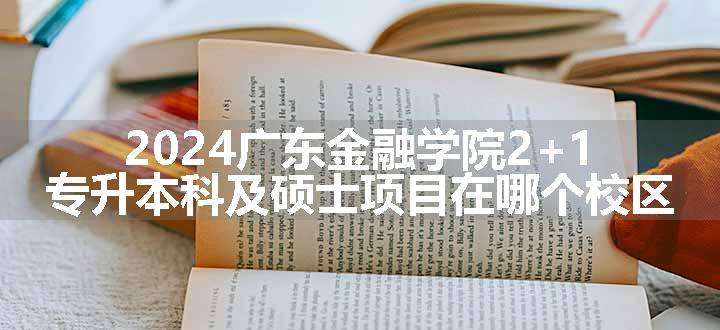 2024广东金融学院2+1专升本科及硕士项目在哪个校区