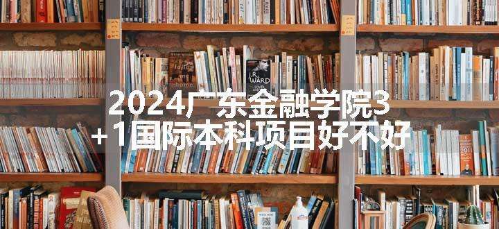 2024广东金融学院3+1国际本科项目好不好