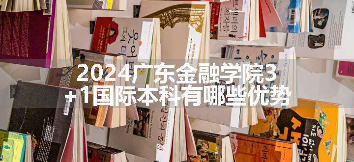 2024广东金融学院3+1国际本科有哪些优势