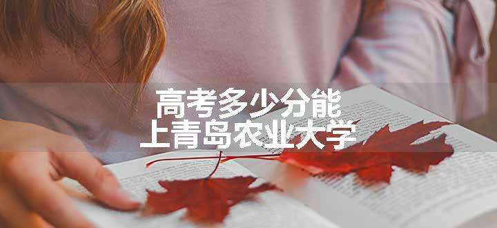 高考多少分能上青岛农业大学